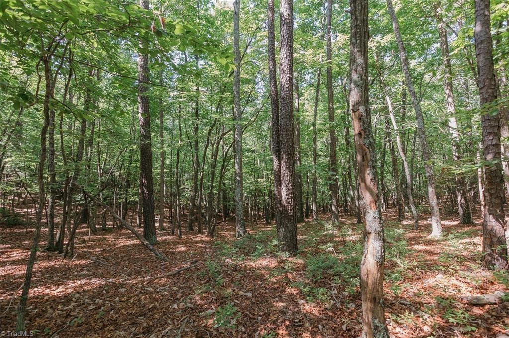 Single Family Residence at xx 44.93 Acres Stardust Trail, Mount Airy NC 27030, photo 8 of 37
