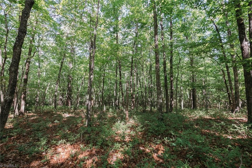 Single Family Residence at xx 44.93 Acres Stardust Trail, Mount Airy NC 27030, photo 25 of 37