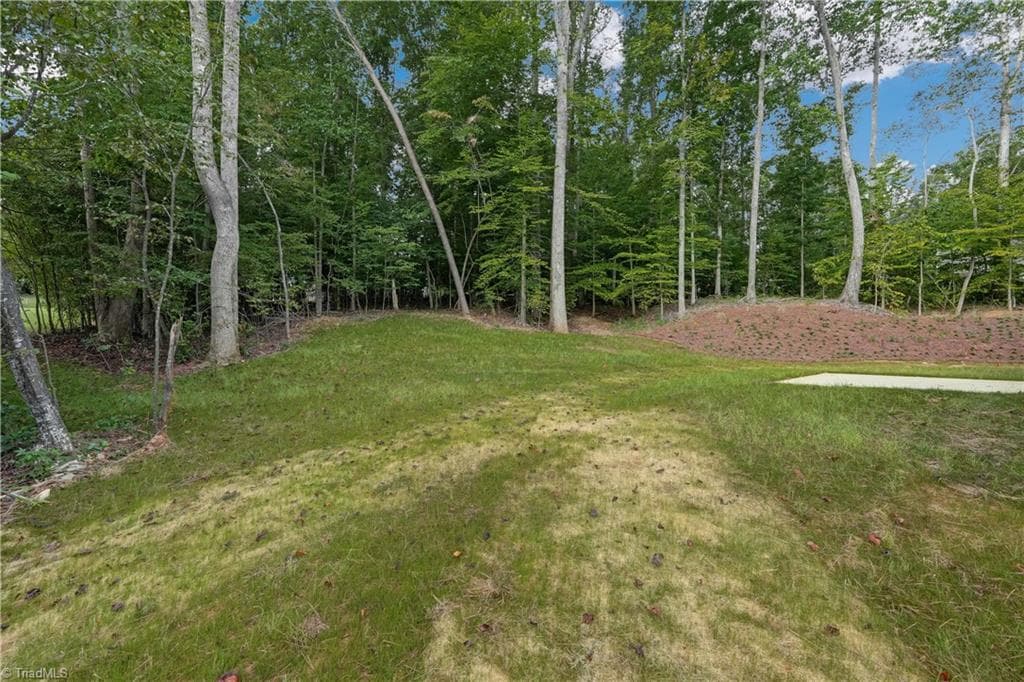 Stick/Site Built at 376 Wild Fern Lane, Reidsville NC 27320, photo 22 of 23