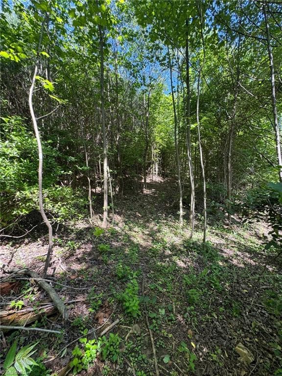 Single Family Residence at Lot 54 Billings Hill Church Road, Traphill NC 28683, photo 27 of 27