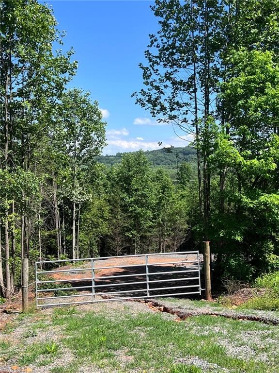 Single Family Residence at Lot 54 Billings Hill Church Road, Traphill NC 28683, photo 2 of 27