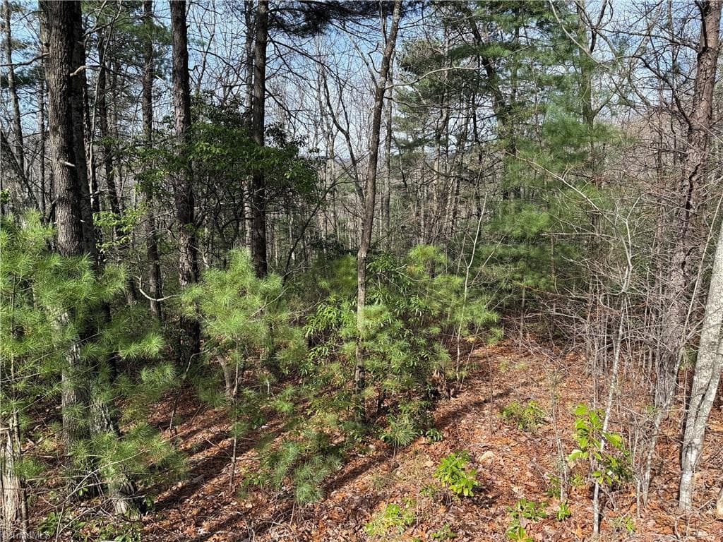 Single Family Residence at Lot 213 Casey Mountain Road, Purlear NC 28665, Purlear, photo 6 of 34