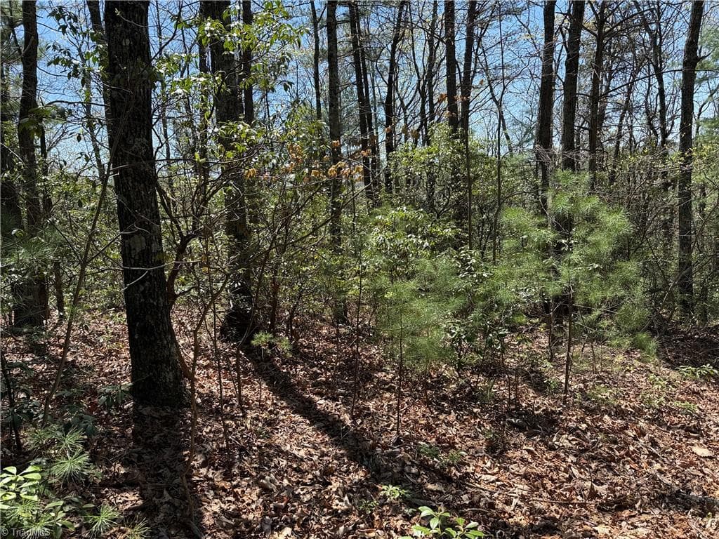 Single Family Residence at Lot 213 Casey Mountain Road, Purlear NC 28665, Purlear, photo 13 of 34