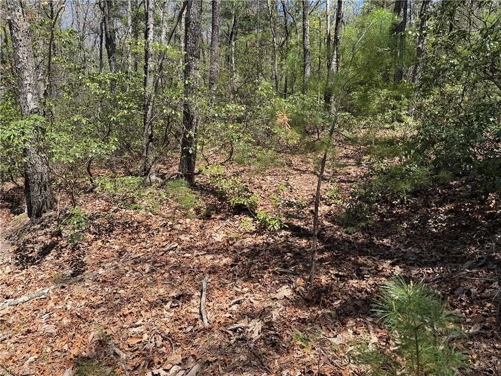 Single Family Residence at Lot 213 Casey Mountain Road, Purlear NC 28665, Purlear, photo 17 of 34