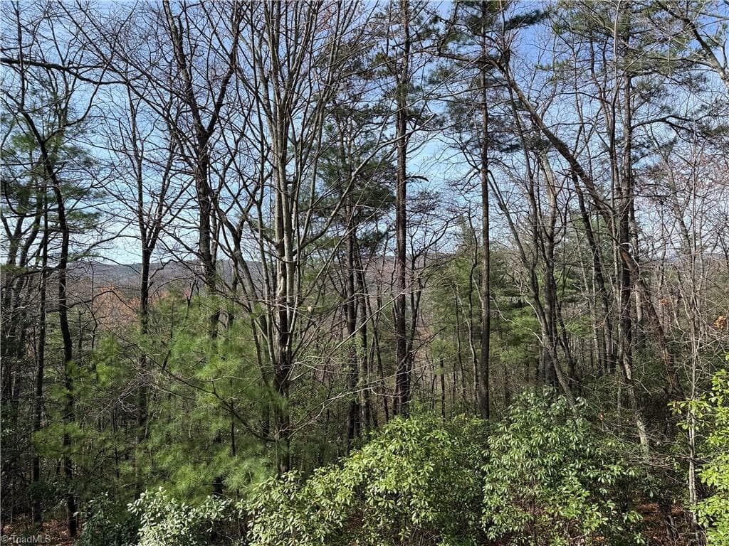 Single Family Residence at Lot 213 Casey Mountain Road, Purlear NC 28665, Purlear, photo 16 of 34