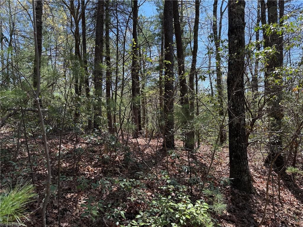 Single Family Residence at Lot 213 Casey Mountain Road, Purlear NC 28665, Purlear, photo 12 of 34