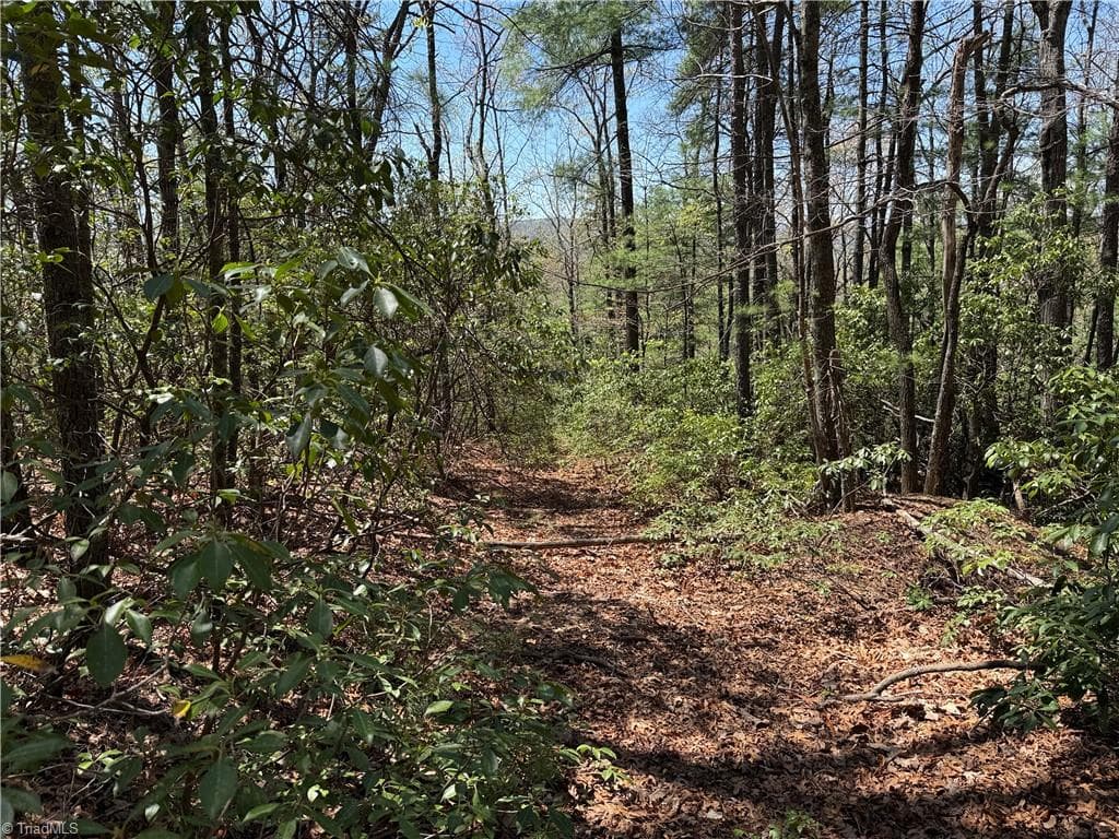 Single Family Residence at Lot 213 Casey Mountain Road, Purlear NC 28665, Purlear, photo 7 of 34