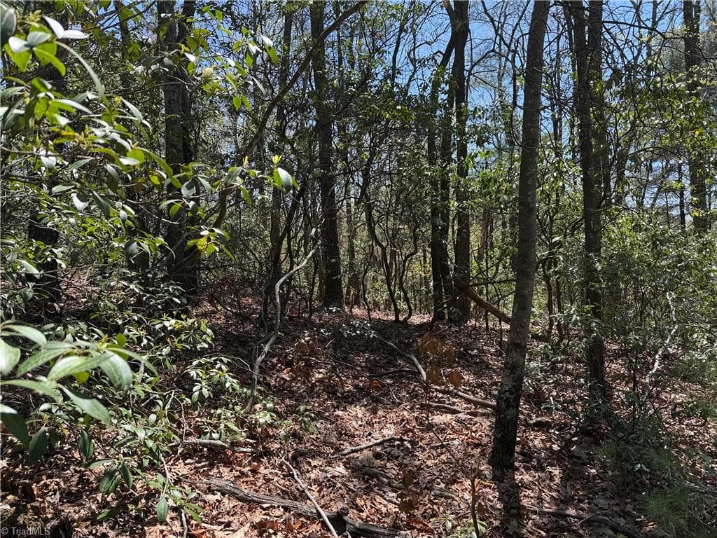 Single Family Residence at Lot 213 Casey Mountain Road, Purlear NC 28665, Purlear, photo 9 of 34