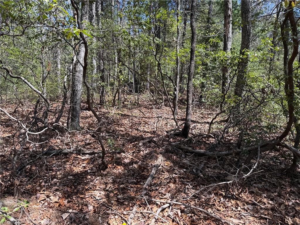 Single Family Residence at Lot 213 Casey Mountain Road, Purlear NC 28665, Purlear, photo 10 of 34
