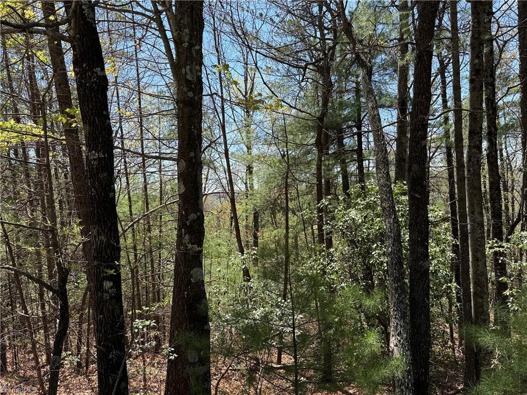 Single Family Residence at Lot 213 Casey Mountain Road, Purlear NC 28665, Purlear, photo 14 of 34
