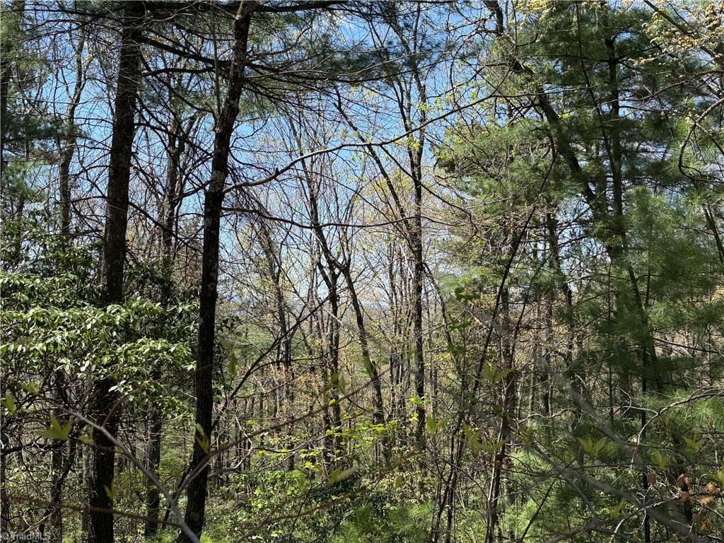 Single Family Residence at Lot 213 Casey Mountain Road, Purlear NC 28665, Purlear, photo 15 of 34