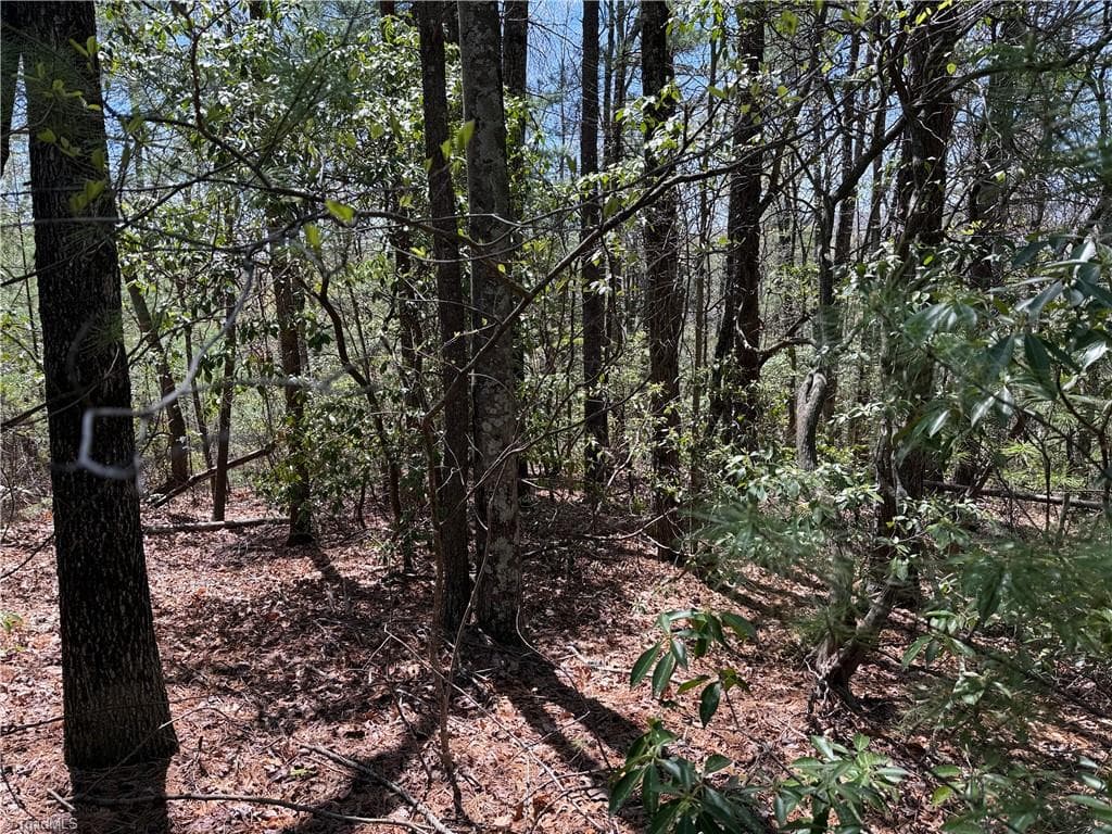 Single Family Residence at Lot 213 Casey Mountain Road, Purlear NC 28665, Purlear, photo 11 of 34