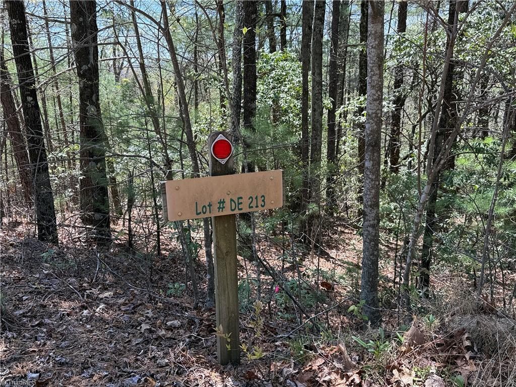Single Family Residence at Lot 213 Casey Mountain Road, Purlear NC 28665, Purlear, photo 4 of 34