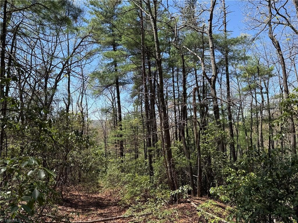 Single Family Residence at Lot 213 Casey Mountain Road, Purlear NC 28665, Purlear, photo 8 of 34