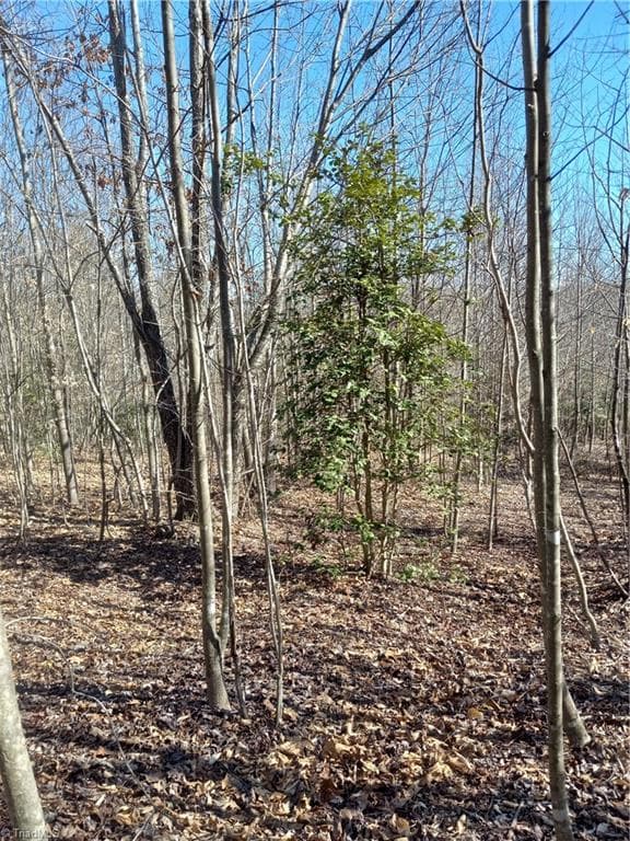 Single Family Residence at TBD River Rd Liberty Grove Road, North Wilkesboro NC 28659, photo 2 of 8