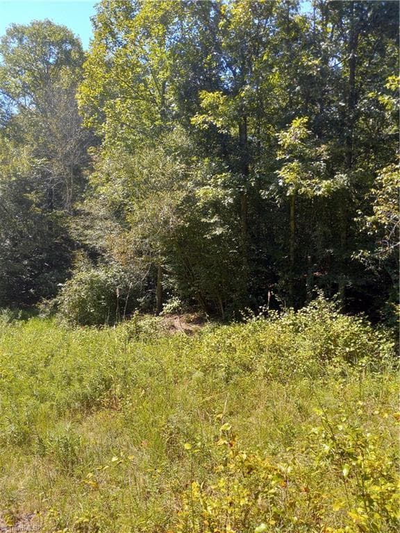Single Family Residence at TBD River Rd Liberty Grove Road, North Wilkesboro NC 28659, photo 3 of 8