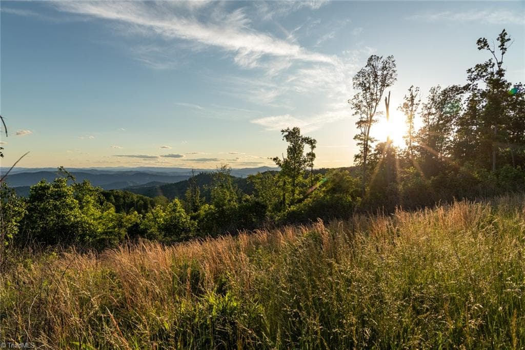 Unimproved Land at 000 Swaringen Road, Traphill NC 28685, photo 23 of 45