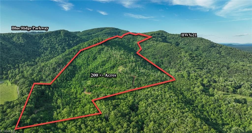Unimproved Land at 000 Swaringen Road, Traphill NC 28685, photo 2 of 45