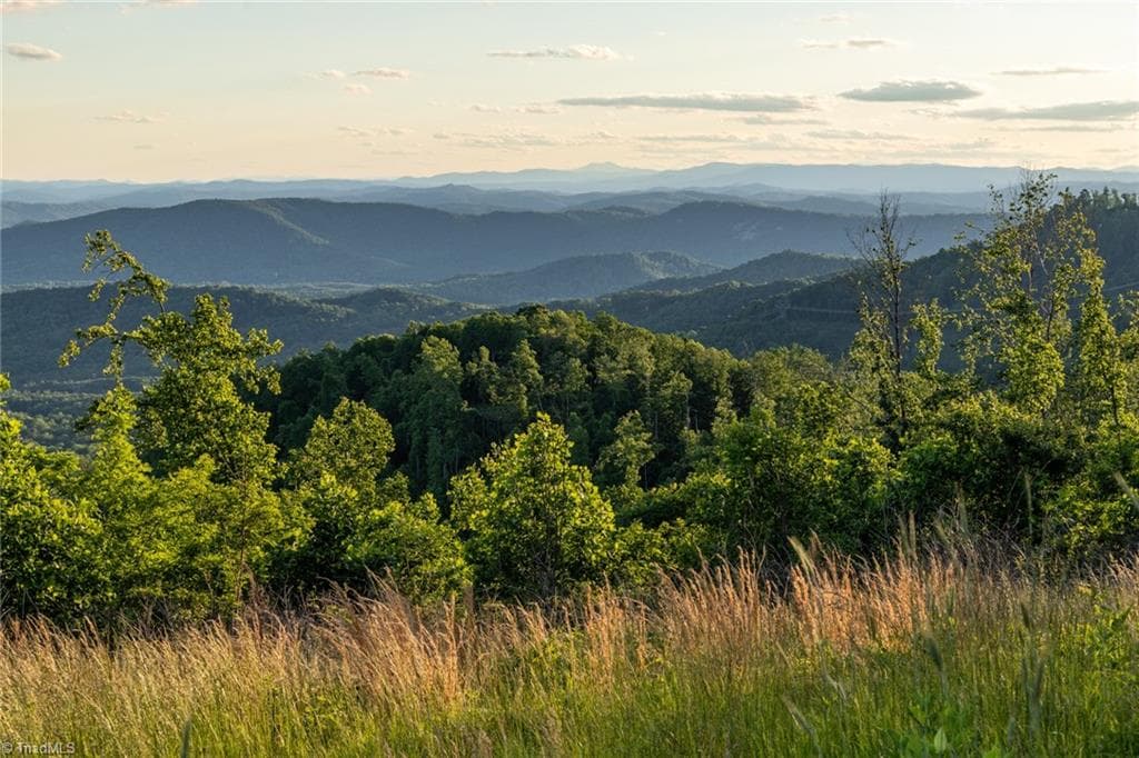 Unimproved Land at 000 Swaringen Road, Traphill NC 28685, photo 17 of 45