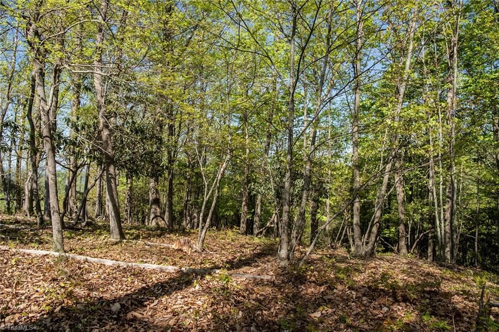 Unimproved Land at 000 Swaringen Road, Traphill NC 28685, photo 16 of 45