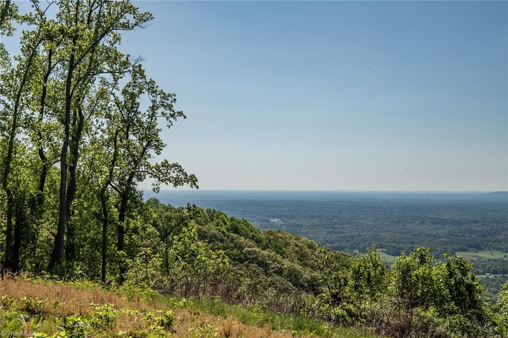 Unimproved Land at 000 Swaringen Road, Traphill NC 28685, photo 12 of 45