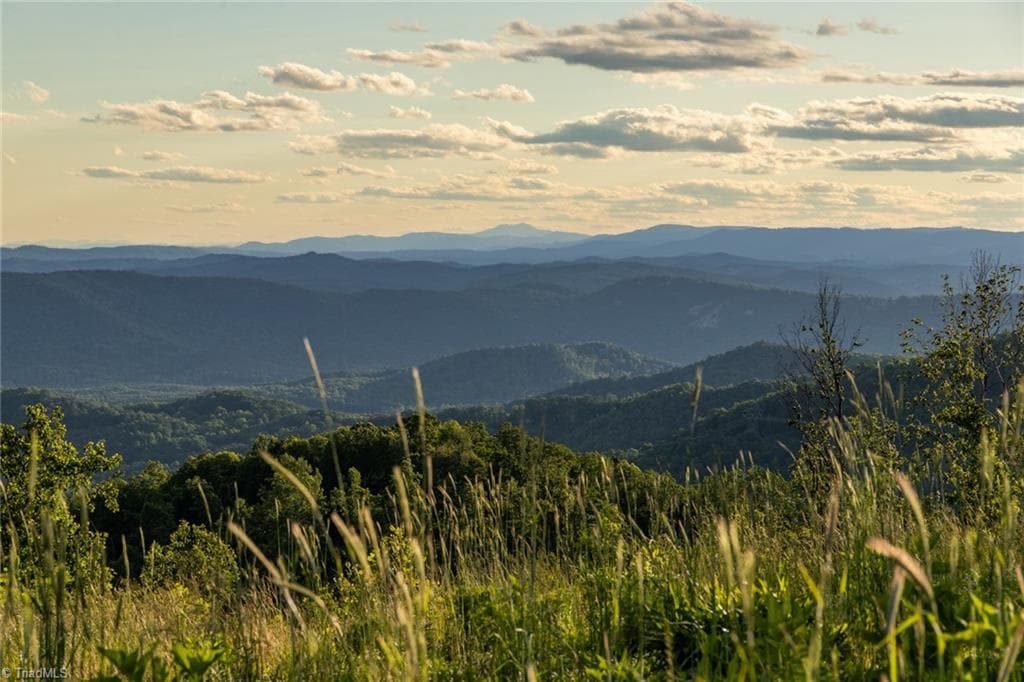 Unimproved Land at 000 Swaringen Road, Traphill NC 28685, photo 22 of 45