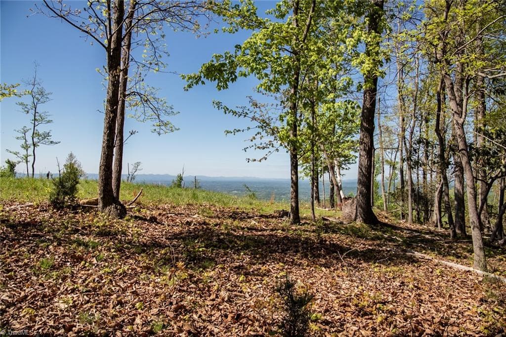 Unimproved Land at 000 Swaringen Road, Traphill NC 28685, photo 3 of 45