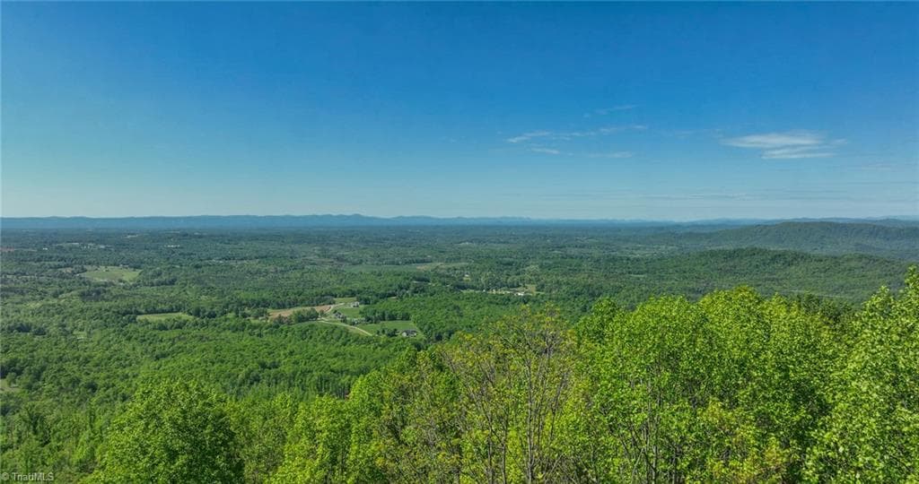 Unimproved Land at 000 Swaringen Road, Traphill NC 28685, photo 36 of 45