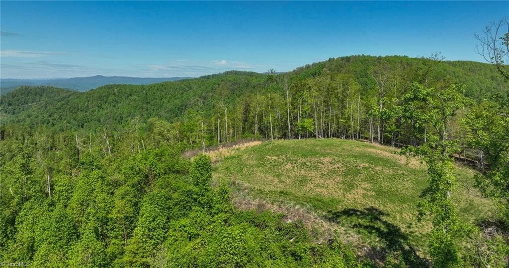 Unimproved Land at 000 Swaringen Road, Traphill NC 28685, photo 32 of 45
