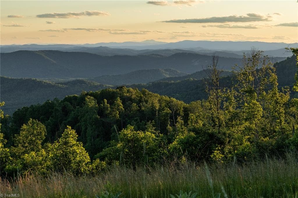 000 Swaringen Road, Traphill NC 28685