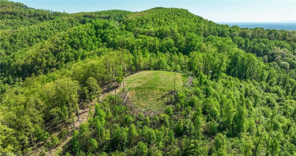 Unimproved Land at 000 Swaringen Road, Traphill NC 28685, photo 28 of 45