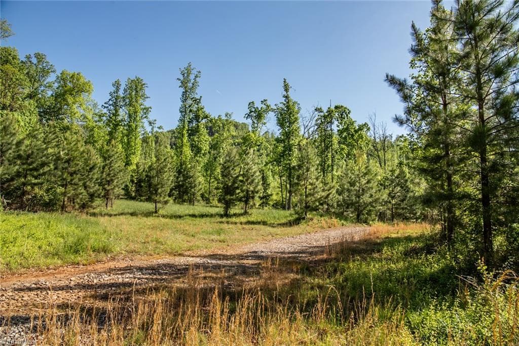 Unimproved Land at 000 Swaringen Road, Traphill NC 28685, photo 9 of 45