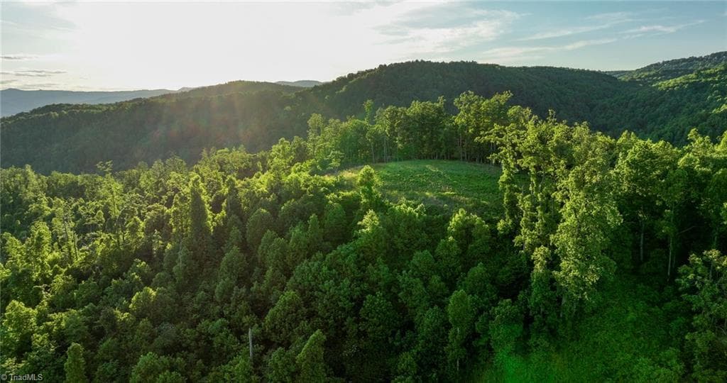 Unimproved Land at 000 Swaringen Road, Traphill NC 28685, photo 38 of 45