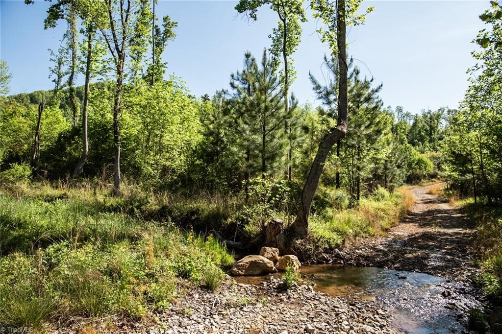 Unimproved Land at 000 Swaringen Road, Traphill NC 28685, photo 10 of 45