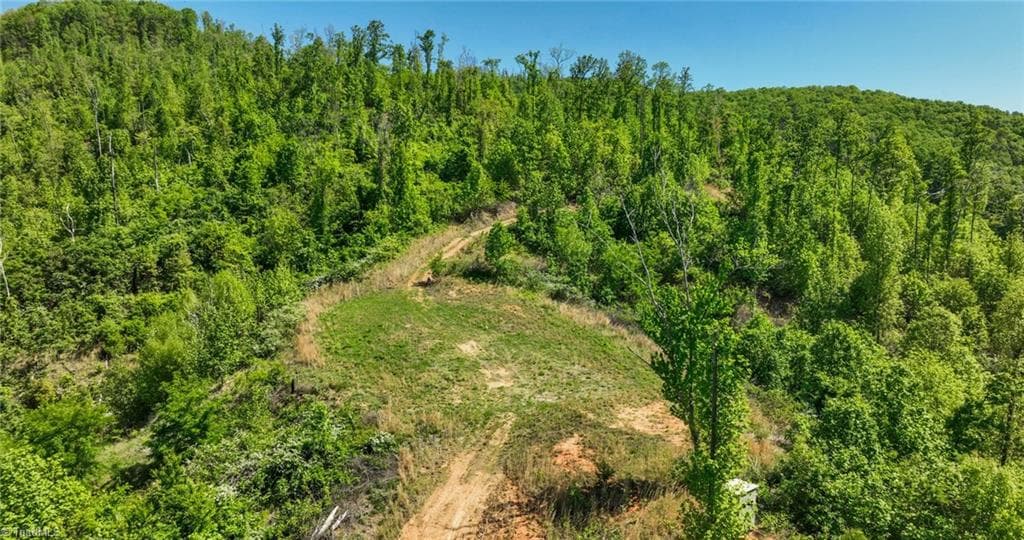 Unimproved Land at 000 Swaringen Road, Traphill NC 28685, photo 33 of 45