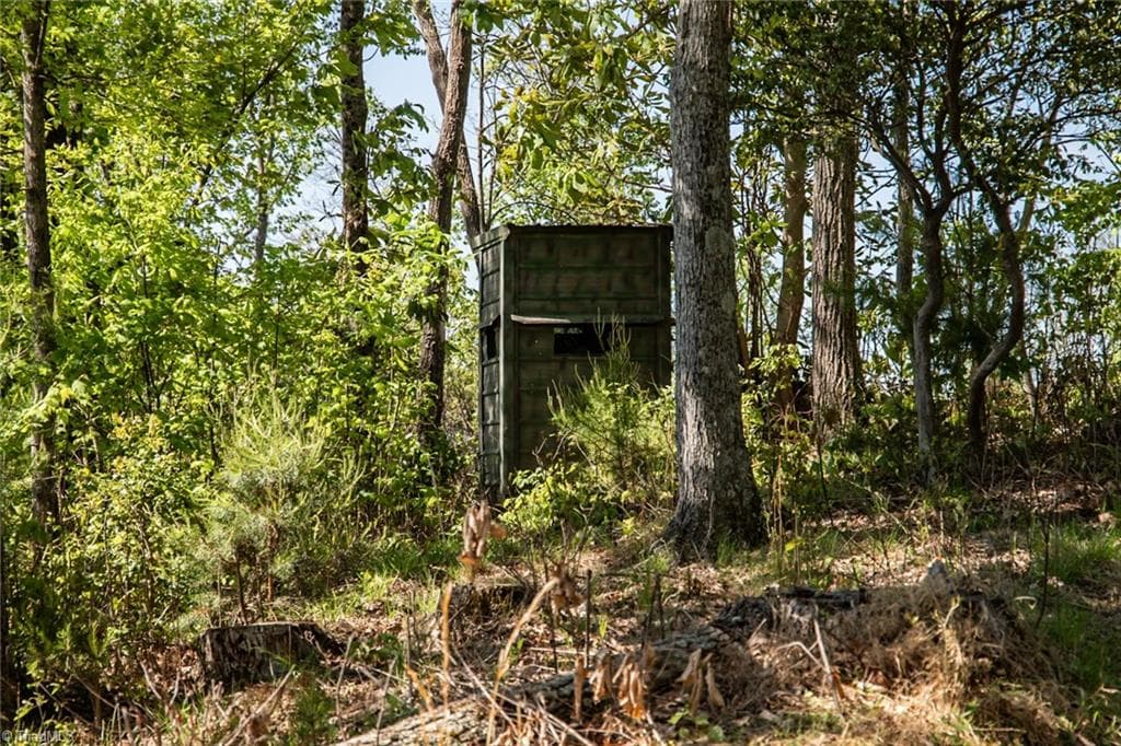 Unimproved Land at 000 Swaringen Road, Traphill NC 28685, photo 18 of 45