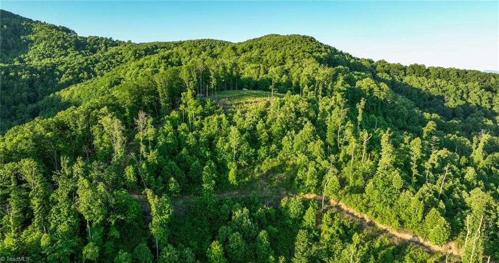 Unimproved Land at 000 Swaringen Road, Traphill NC 28685, photo 37 of 45