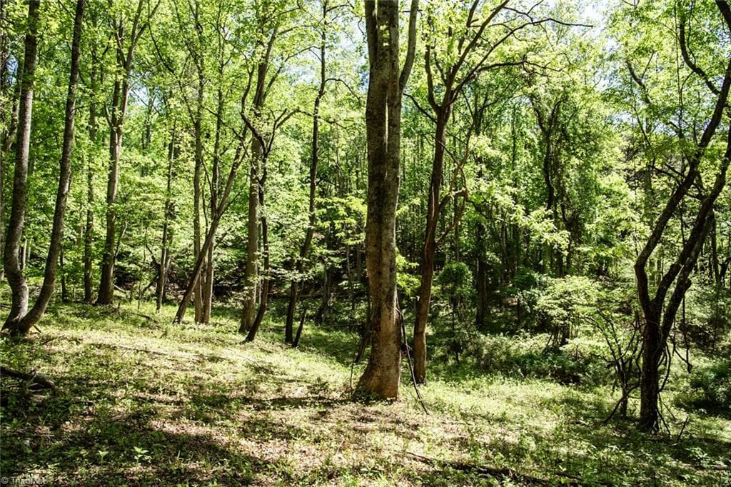 Unimproved Land at 000 Swaringen Road, Traphill NC 28685, photo 15 of 45
