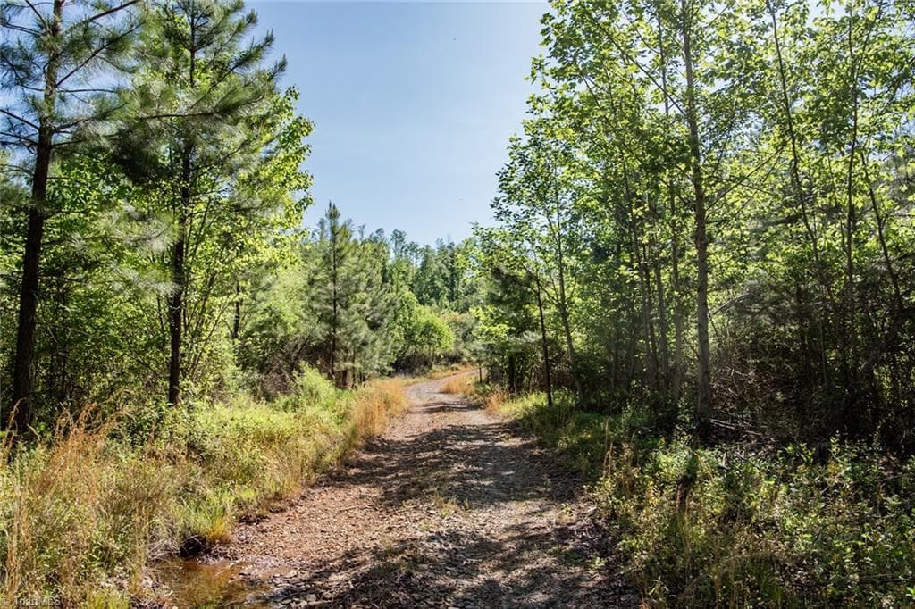Unimproved Land at 000 Swaringen Road, Traphill NC 28685, photo 11 of 45