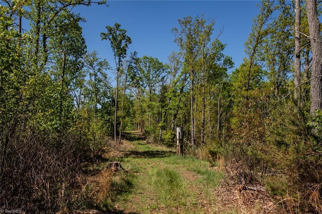 Unimproved Land at 000 Swaringen Road, Traphill NC 28685, photo 19 of 45