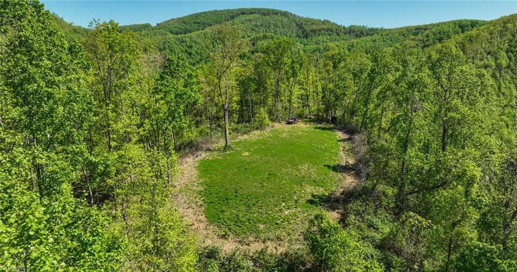 Unimproved Land at 000 Swaringen Road, Traphill NC 28685, photo 35 of 45
