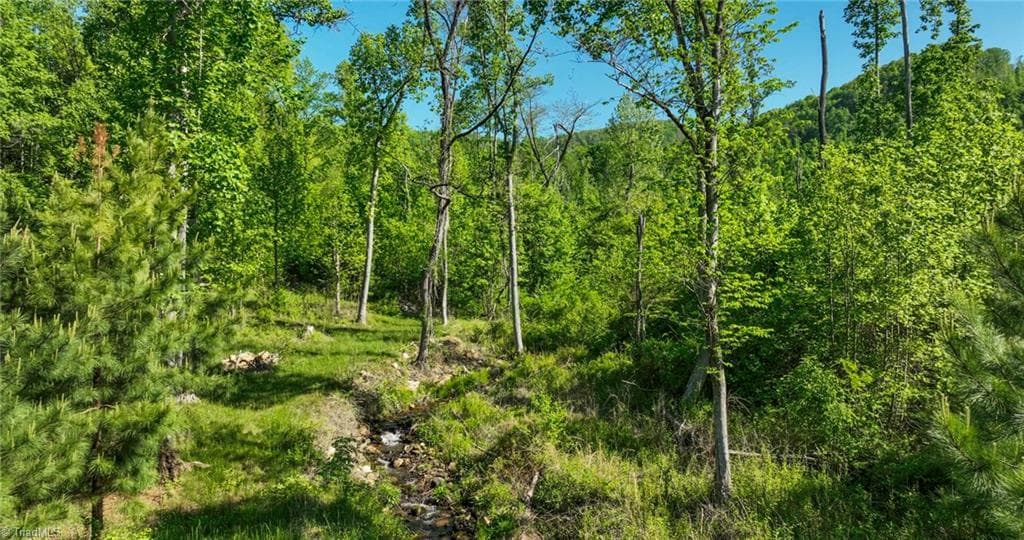 Unimproved Land at 000 Swaringen Road, Traphill NC 28685, photo 31 of 45