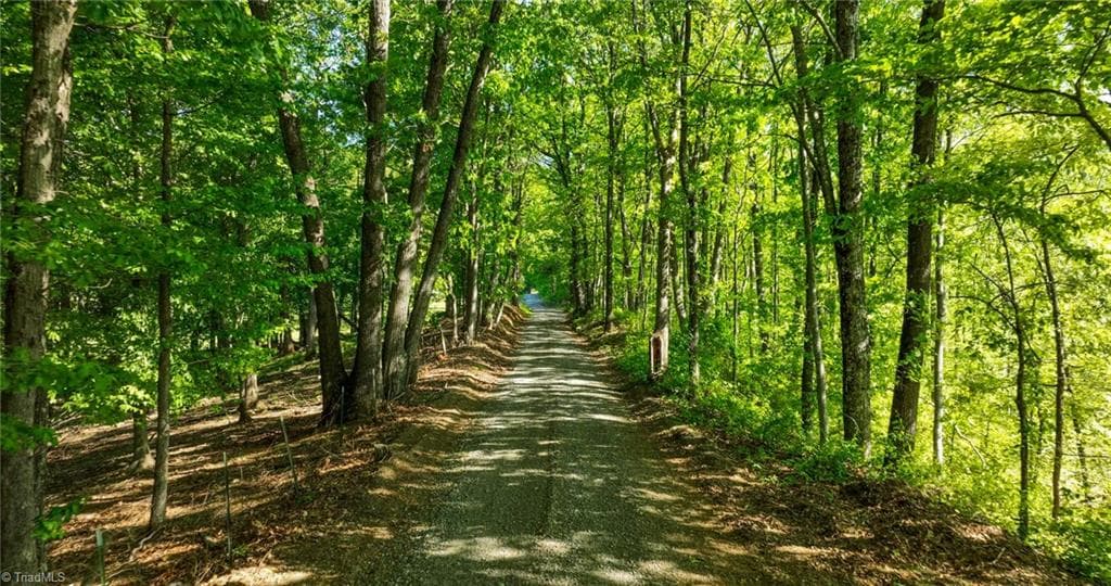 Unimproved Land at 000 Swaringen Road, Traphill NC 28685, photo 29 of 45