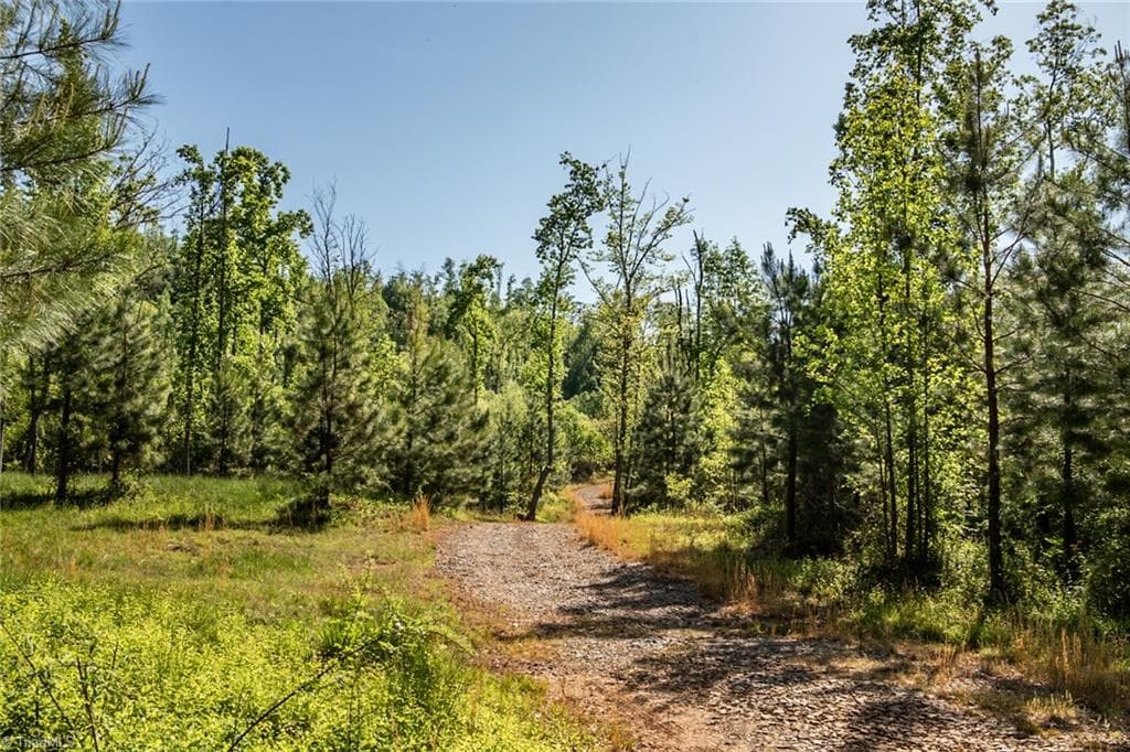 Unimproved Land at 000 Swaringen Road, Traphill NC 28685, photo 8 of 45