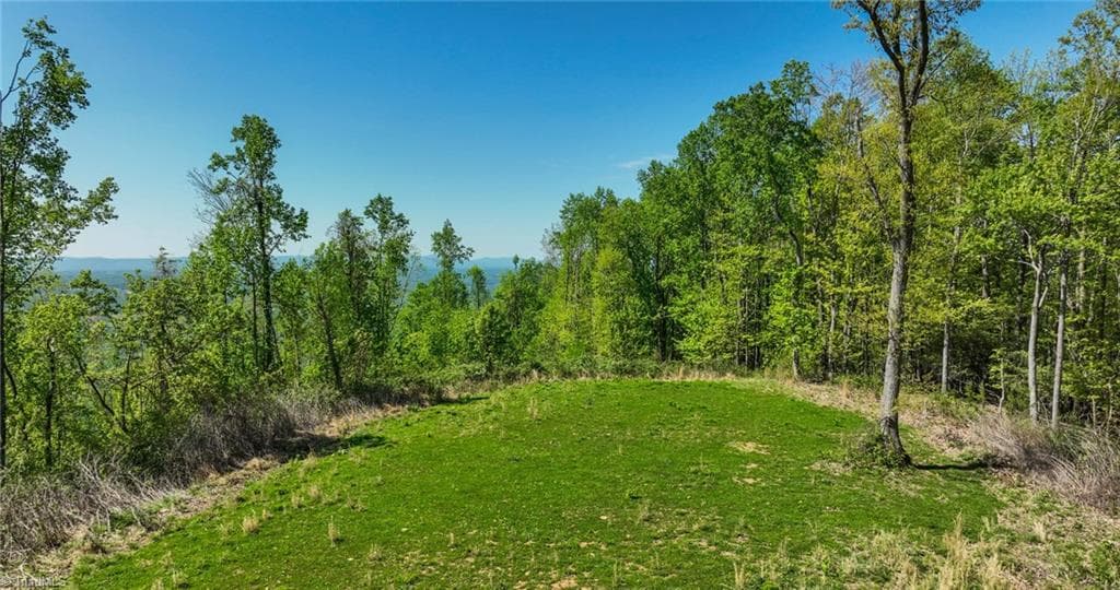 Unimproved Land at 000 Swaringen Road, Traphill NC 28685, photo 25 of 45