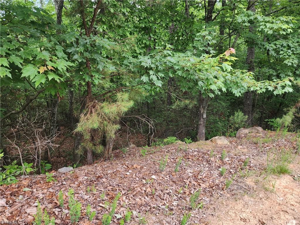 Single Family Residence at TBD Derby Chase Court, McGrady NC 28649, McGrady, photo 5 of 16