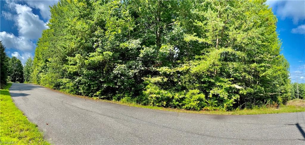 Single Family Residence at Lot 21 Rosebrier Road, Boomer NC 28606, photo 3 of 9