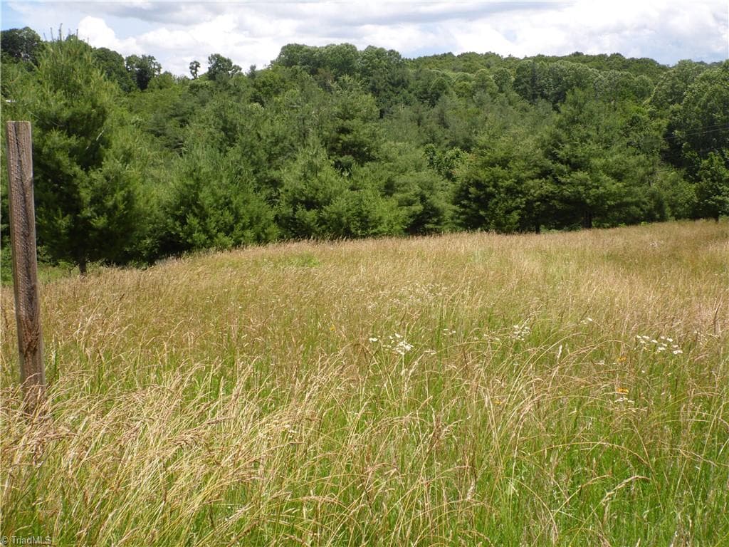 Unimproved Land at TBD NC Highway 18 N, Sparta NC 28675, photo 2 of 19
