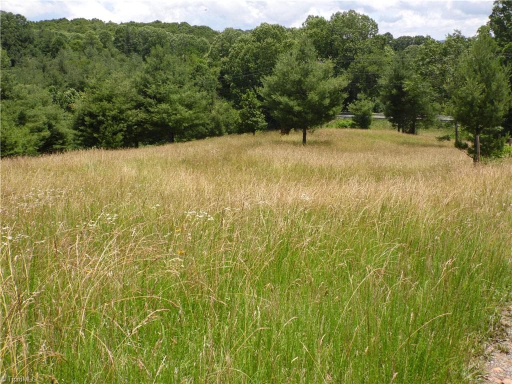 Unimproved Land at TBD NC Highway 18 N, Sparta NC 28675, photo 6 of 19