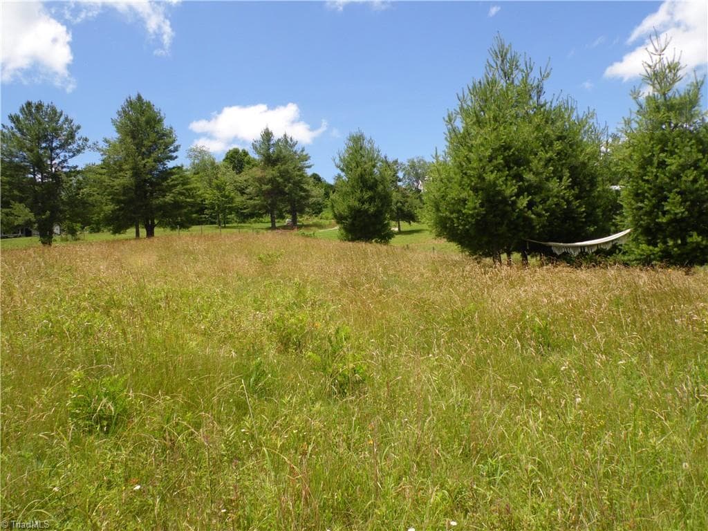 Unimproved Land at TBD NC Highway 18 N, Sparta NC 28675, photo 12 of 19